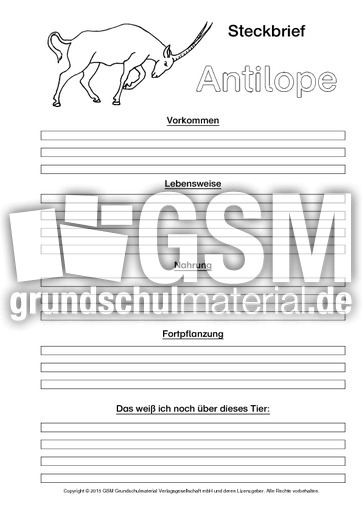 Antilope-Steckbriefvorlage-sw.pdf